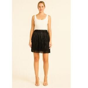 Isabel Marant Skirt Medium NEW